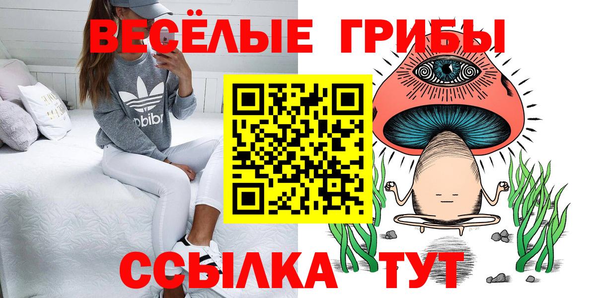 Псилоцибиновые грибы мицелий Каспийск