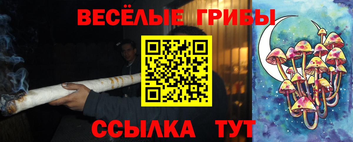 Каспийск  Псилоцибиновые грибы Magic Shrooms  Вход с VPN 